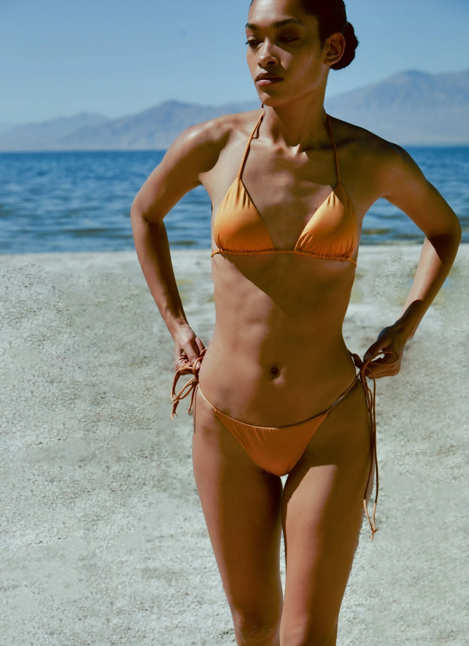 Devin-Triangle-Bikini-Top-BRTO.jpg ALC LTD SWIM Devin Triangle Bikini Top